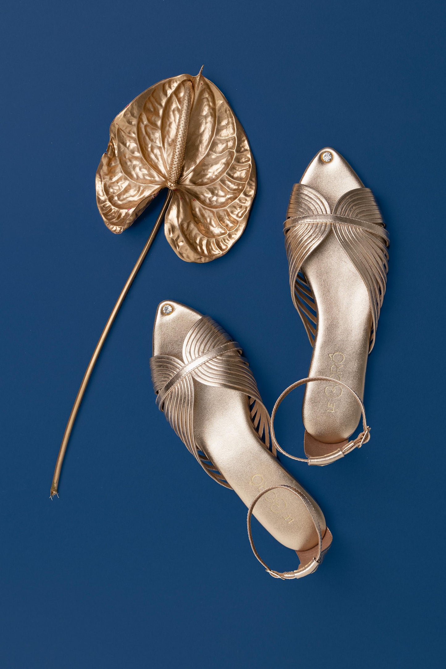 Arc Flats